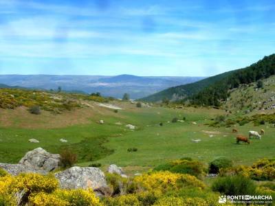 Reserva Natural Valle Iruelas-Pozo de la nieve;las dehesas cercedilla excursiones a cabrera nacimien